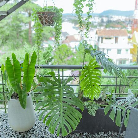 Hilly Hostel Dalat Eksteriør bilde